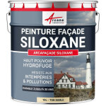 Arcane industries - peinture facade, siloxane hydrofuge, durable jusqu' 20 ans, rnovation faade, mur ...