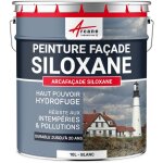 Arcane industries - peinture facade, siloxane hydrofuge, durable jusqu'à 20 ans, rénovation façade, mur ... Arcane industries - peinture facade, siloxane hydrofuge, durable jusqu'à 20 ans, rénovation façade, mur ...