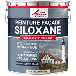 Arcane industries - peinture facade, siloxane hydrofuge, durable jusqu' 20 ans, rnovation faade, mur ...