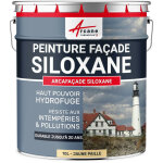 Arcane industries - peinture facade, siloxane hydrofuge, durable jusqu'� 20 ans, r�novation fa�ade, mur ...