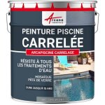 Arcane industries - peinture piscine carrelage - 5 kg (jusqu' 15m pour 2 couches) gris argent - ral ...