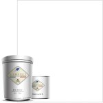 Peinture r�sine �poxy 0, 75l mat 10m� blanc titanium