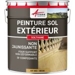 Arcane industries - peinture pour sol extrieur et intrieur, pour bton, haute rsistance, non jaunissante ...