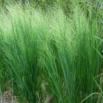 3 panics effil�s 'cloud nine'