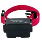 Petsafe - collier supplmentaire pour radio fence chien trs fugueur