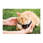 Collier rcepteur supplmentaire pour barrire chat