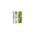 Phacelie bio - 250g - entretien - engrais - fabre graines