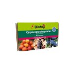 Phromone carpocapse des prunes (2 capsules)