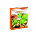 Ph�romone contre le ver des pommes, poires et noix (2 capsules)