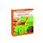 Ph�romone contre le ver de la pomme de terre, de la salade