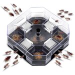 Pi�ge � cafards r�utilisable et �cologique pour cuisine - bo�te anti - cafards int�rieur