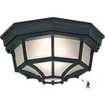 Plafonnier d'ext�rieur led 12 w, applique murale d'ext�rieur, m�tal / verre classique, noir, �clairage ...