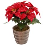 Plante artificiel poinsettia �toile de no�l rouge paillet� en pot h 22 cm - feeric christmas
