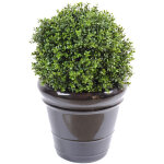 Plante artificielle haute gamme spcial extrieur / buis artificiel boule uv - dim : h. 50 x d. 40 cm ...
