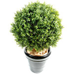Plante artificielle haute gamme spcial extrieur / buis artificiel boule uv - dim : h. 65 x d. 50 cm ...