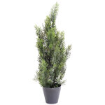 Plante artificielle haute gamme sp�cial ext�rieur / cypr�s artificiel mini vert - dim : 60 x 20 cm