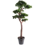 Pegane - plante artificielle haute gamme spécial extérieur / pin artificiel bonsai uv - dim : 220 x 120 ... Pegane - plante artificielle haute gamme spécial extérieur / pin artificiel bonsai uv - dim : 220 x 120 ...