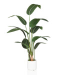 Plante artificielle strelitzia vert hjh office