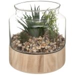 Plante artificielle terrarium pot verre h17, 5cm atmosphera crateur d'intrieur