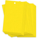 Plaques collantes anti - insectes volants 20 pi�ces 20x15cm jaunes dual - side pour champignons, pucerons, ...