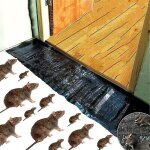 Plaque de glu anti - rongeurs - pi�ge collant pour souris et rats - tapis adh�sif souris