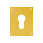 Plaque de propret� laiton poli cl� i 120x80mm heracles 251852 - clei