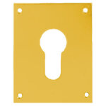 Plaque de propret� laiton poli cl� i 90x90mm heracles 251652 - clei
