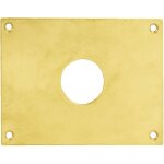 Plaque de propret� trou rond 34 laiton poli 90x65mm heracles 251752 - tr34