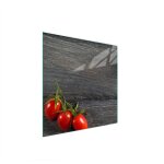 Plaque de protection en verre pour pole 50x52 tomates