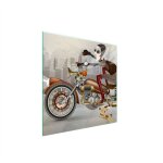 Plaque de protection en verre pour r�chaud 50x52 moto
