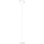 Plato - lampadaire led 30w � intensit� variable, 3 000 k, 2 968 lm, h 190 cm, interrupteur � p�dale - ...