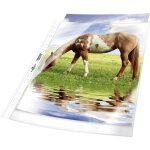 Pochette 2677 din a4 polypropyl�ne 0. 08 mm transparent 267719 50 pc(s) - durable