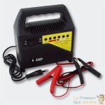 Le poisson qui jardine - chargeur 6a de batterie rapide - 1106s - batteries 6v et 12v