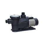 Pompe 600 w pour filtration