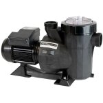 Pompe astral victoria plus 1. 5 cv - 21. 5 m3 / h triphase 38776