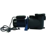 Pompe filtration piscine - edg - connecteurs 32 38 - modèle 1 / 3 - préfiltre intégré - couvercle Pompe filtration piscine - edg - connecteurs 32 38 - modèle 1 / 3 - préfiltre intégré - couvercle