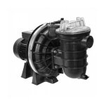 Pentair - pompe de filtration piscine la sta - rite - monophas�e - sta - rite -