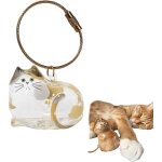 Porte - cls bouteille transparente pour rcuprer les poils de chat, souvenir, bote de rangement, anneau ...
