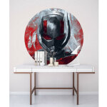 Komar - poster autocollant forme ronde marvel avengers ant - man peinture - 125 cm