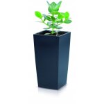 Pot � r�serve d'eau 11, 5l ? dimensions 19, 5x19, 5x37, 5cm ? plastique durable effet b�ton ? avec insert ...