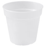 Pot orchid�e green basics d. 15cm transparent - elho