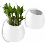 Pot pour plantes mural blanc 10cm cramique lot de 2, dcoration murale dcoration pour salon maison ...