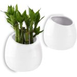 Pot pour plantes mural blanc 10cm c�ramique lot de 2, d�coration murale d�coration pour salon maison ...