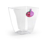 Pot transparent orchidée Pot transparent orchidée