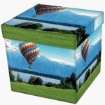 Pouf container repose - pieds en ballon  air chaud
