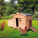 Poulailler sur pilotis avec pondoir en bois Poulailler sur pilotis avec pondoir en bois
