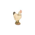 Poule pm blanche