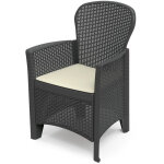Progarden - fauteuil imitation rotin. couleur: anthracite 60x58x89cm mod�le: folia