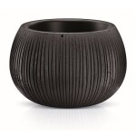 Prosperplast - beton bowl pot de fleurs en plastique 2 en 1 avec pot rond en couleur ciment noir 19, ...