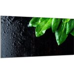 Protection de plaque de cuisson en verre 90x52 basilic